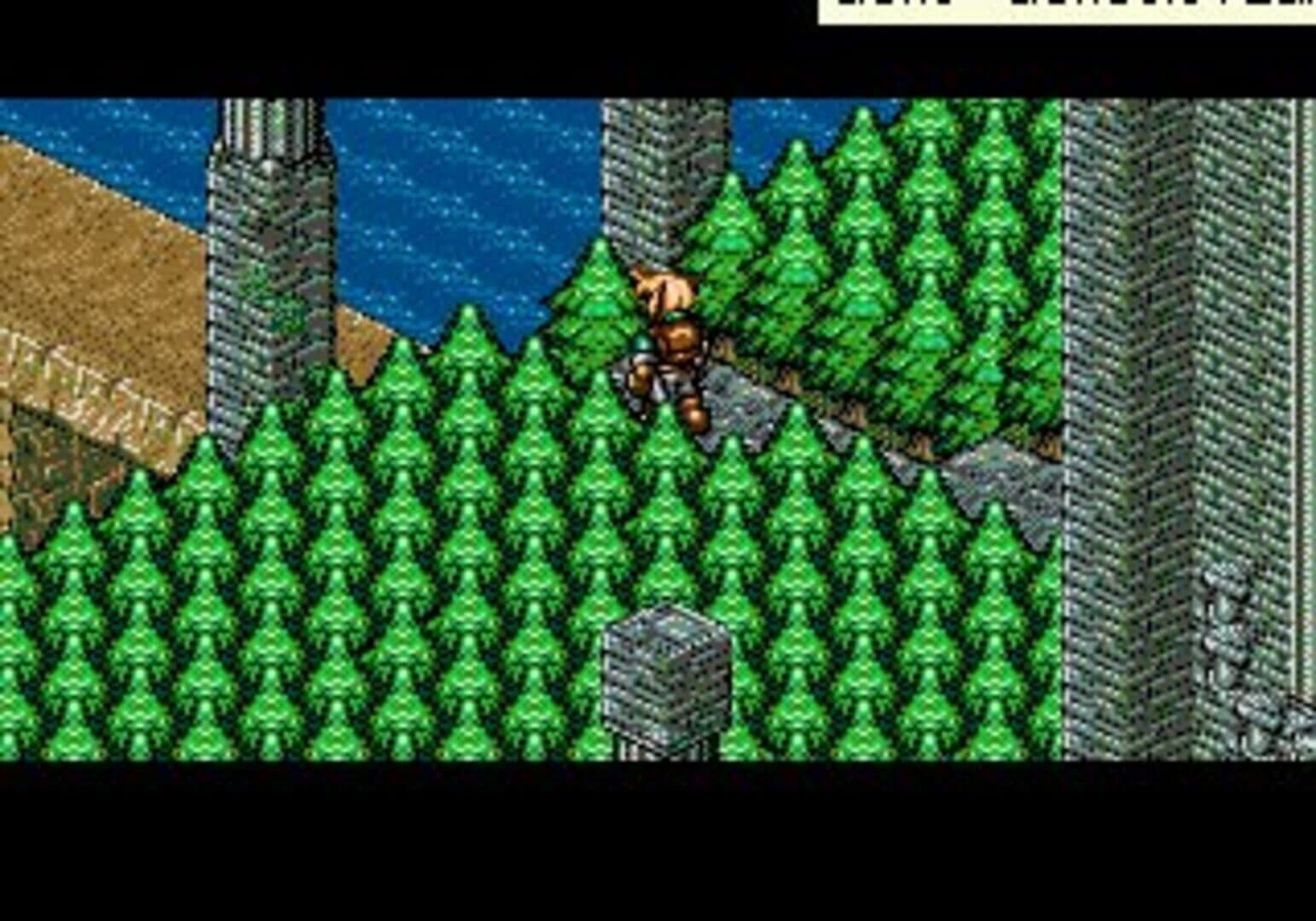 Landstalker screenshot 9