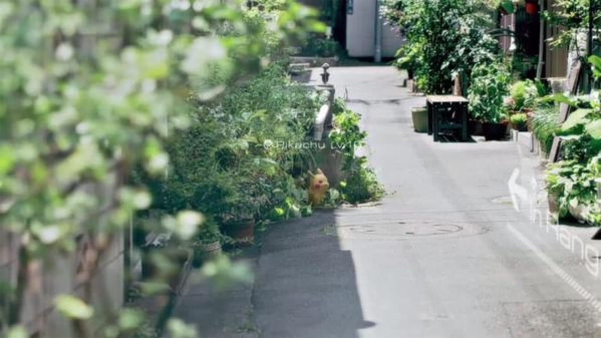 Pokémon Go screenshot 7