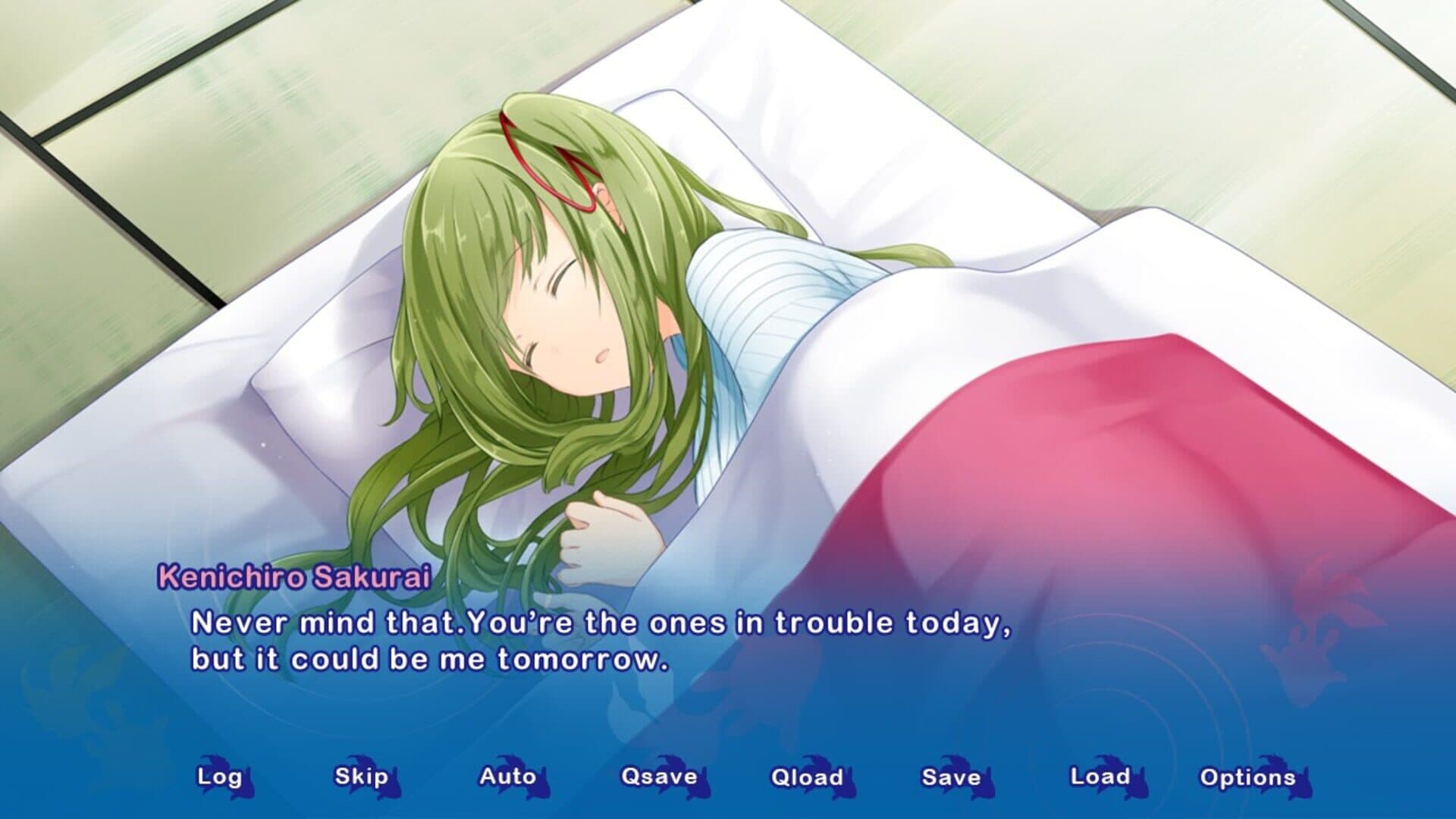 Kyoto Colorful Days screenshot 4