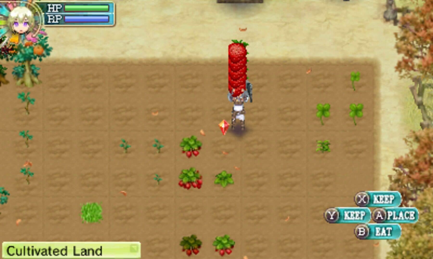 Rune Factory 4 screenshot 11