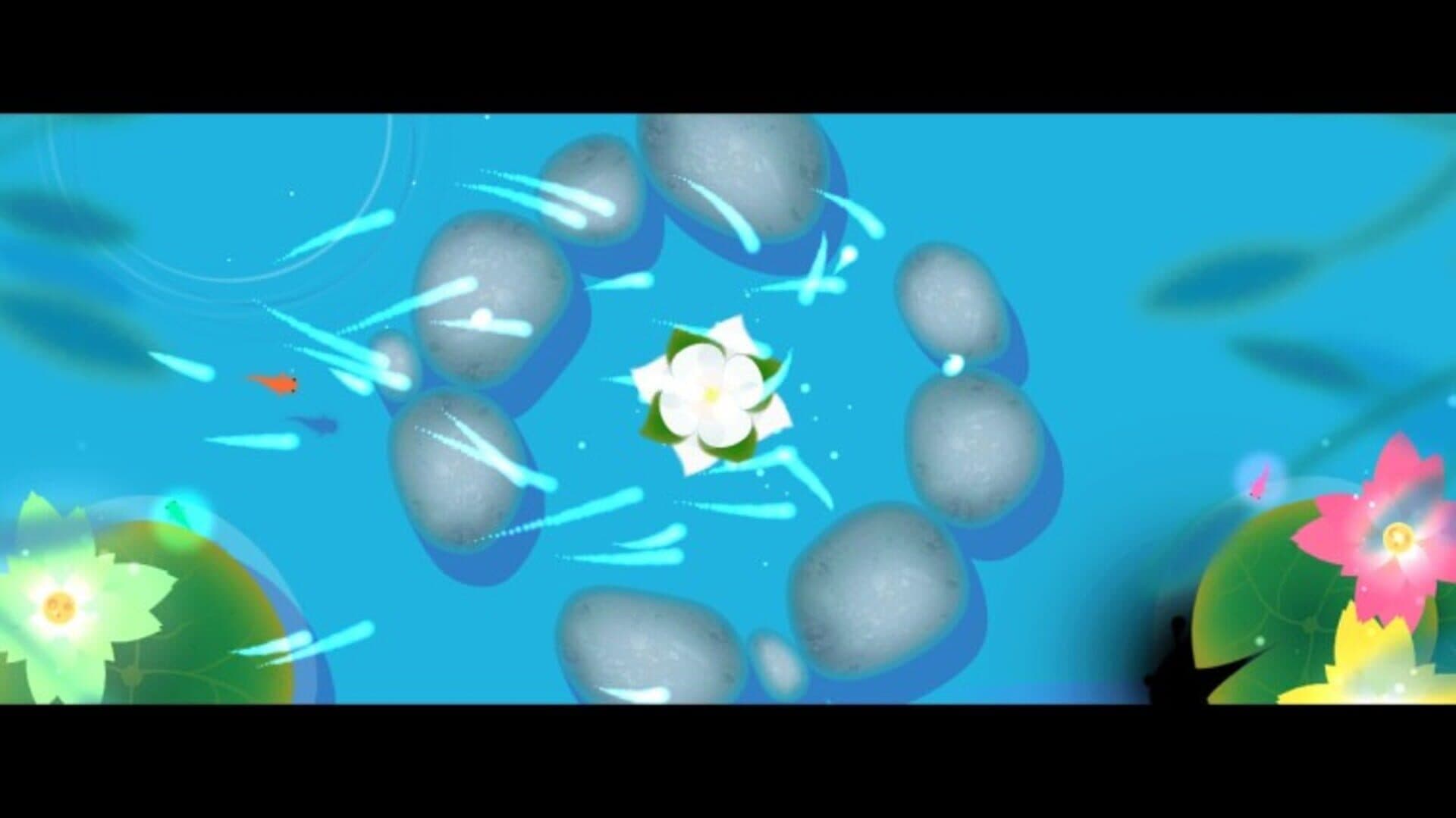 Koi DX screenshot 9