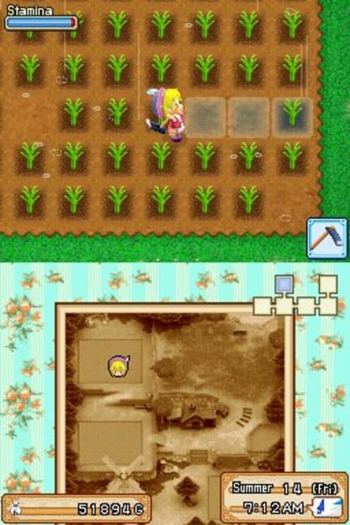 Harvest Moon DS: Grand Bazaar screenshot 8