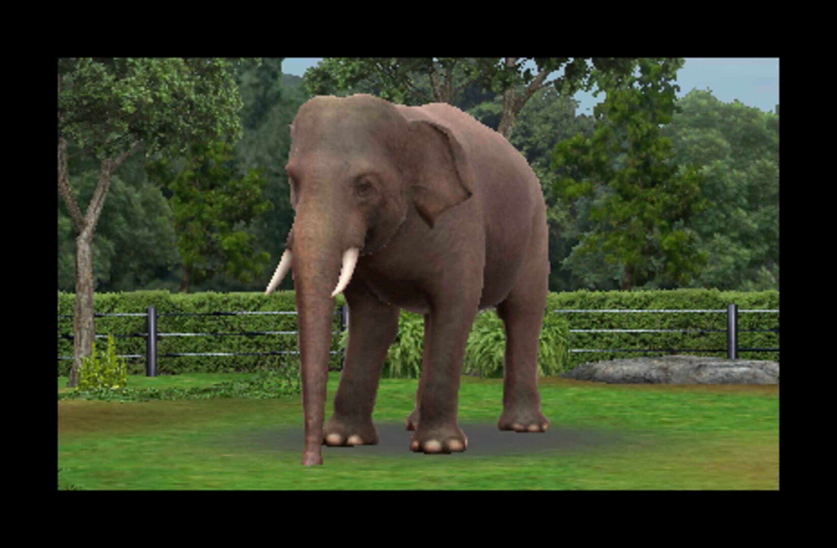 Zoo Resort 3D screenshot 2