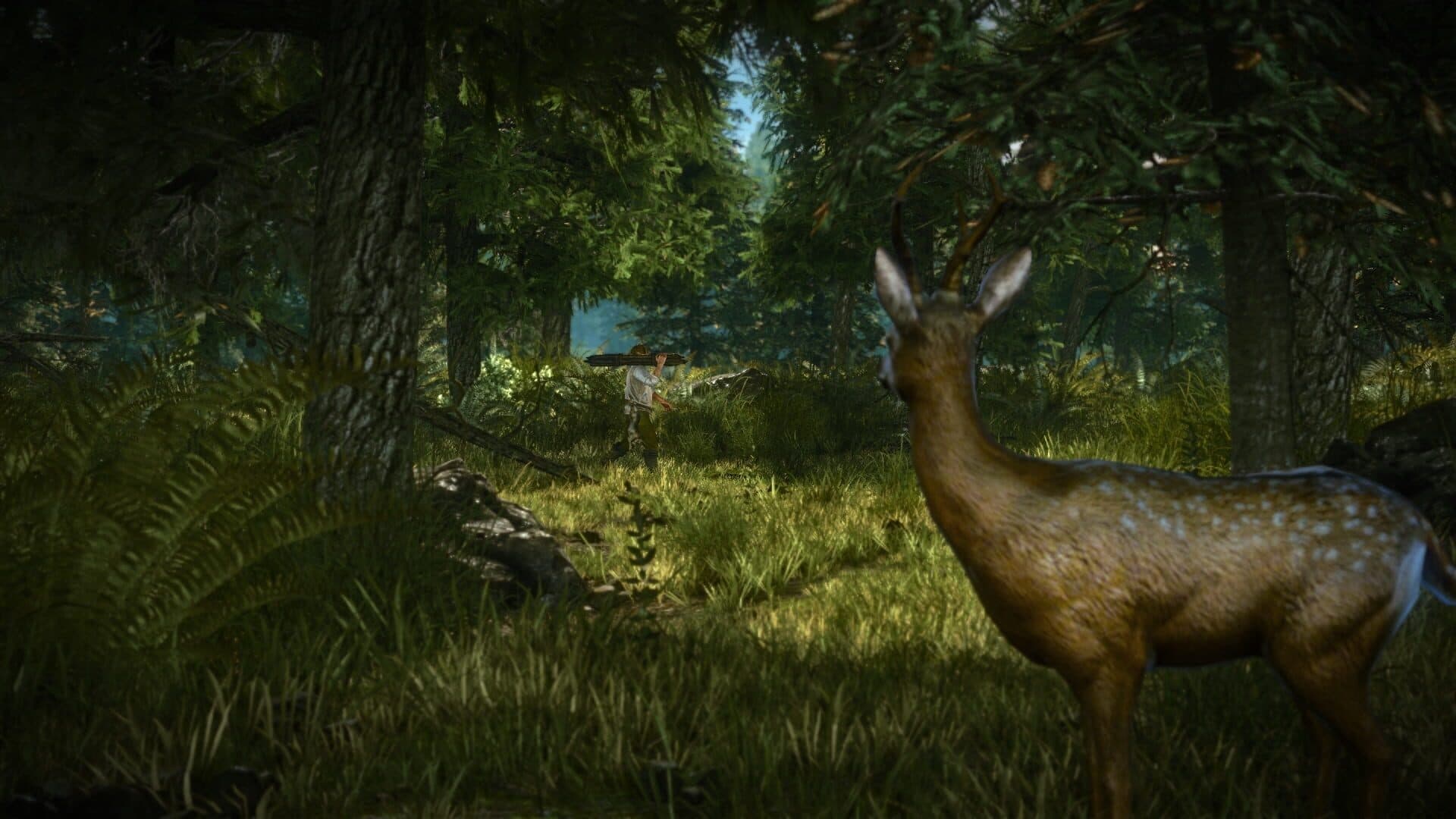 The Witcher 2: Assassins of Kings - Enhanced Edition screenshot 3