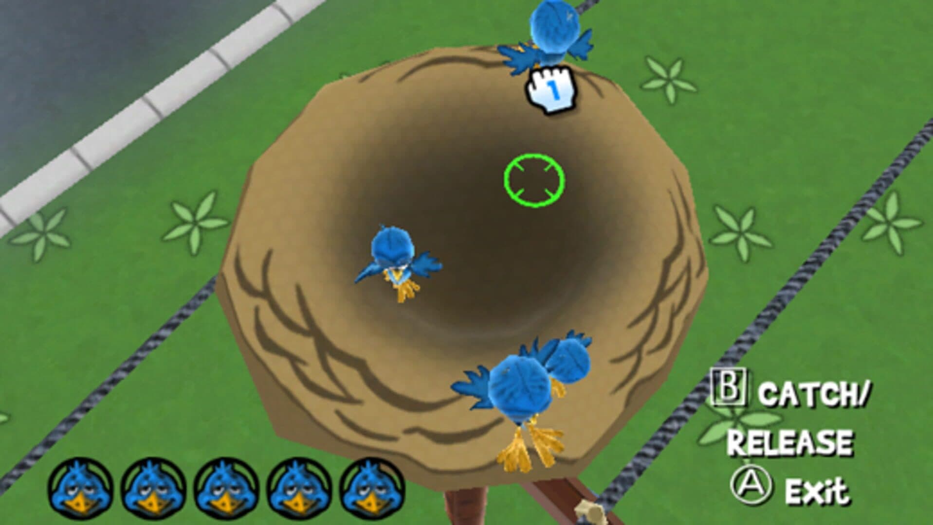 Play with Birds screenshot 7