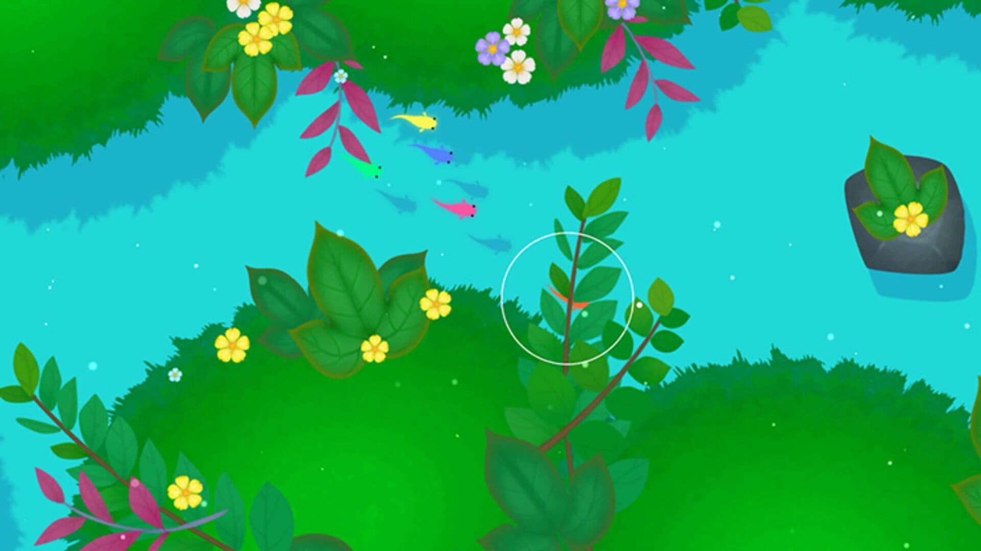 Koi DX screenshot 8
