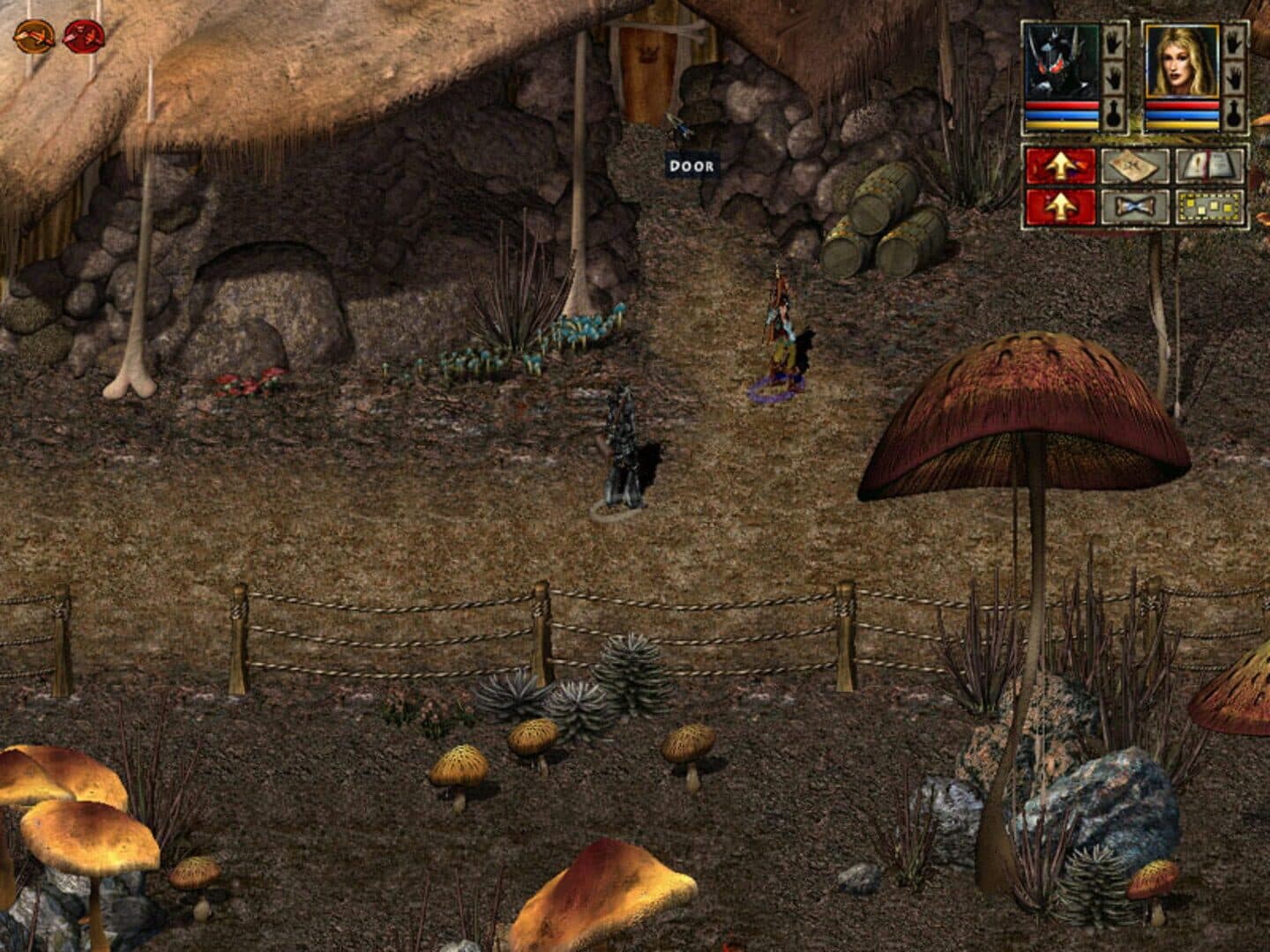 Beyond Divinity screenshot 3