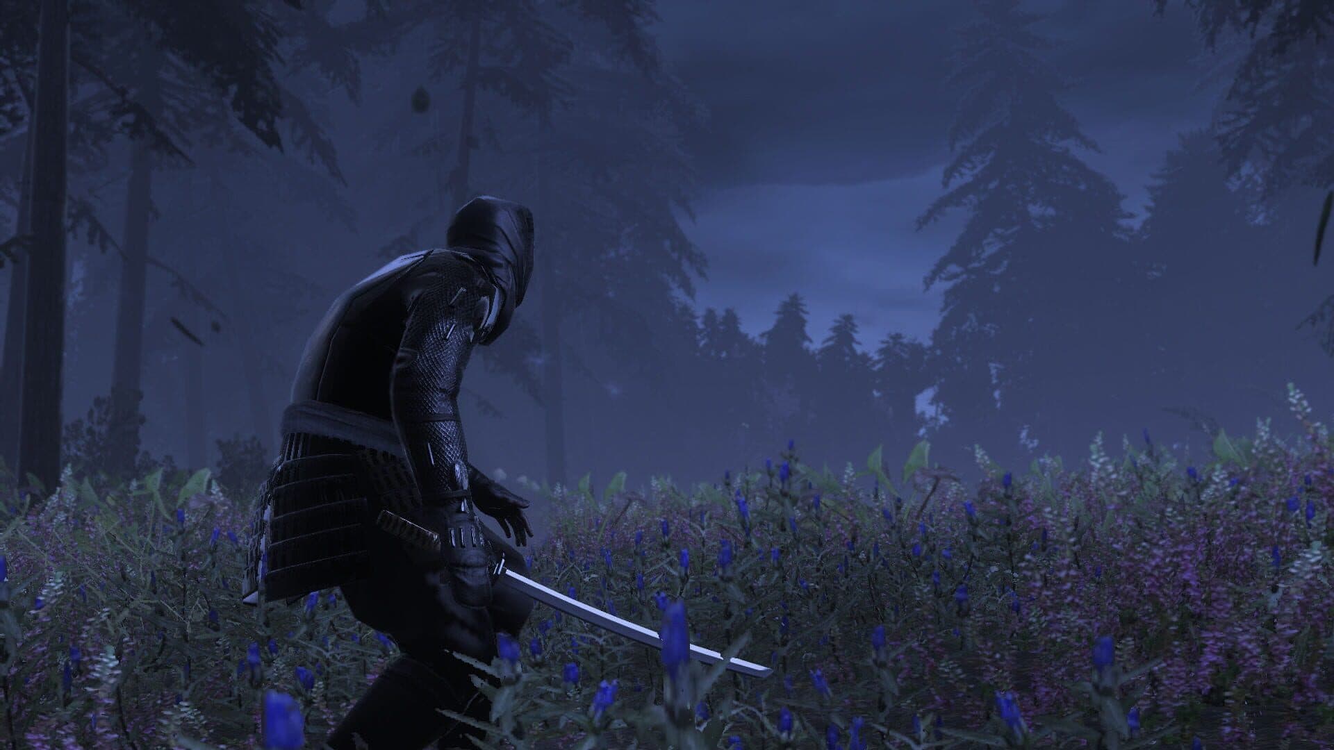 Total War: Shogun 2 - The Hattori Clan Pack screenshot 4