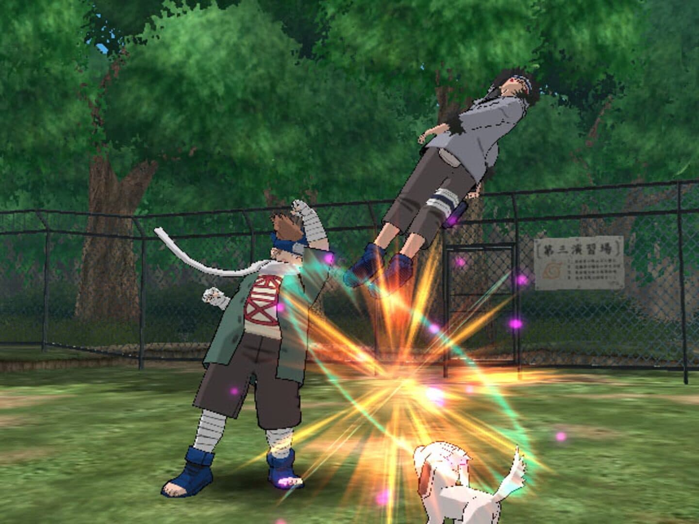 Naruto: Clash of Ninja Revolution 2 screenshot 6