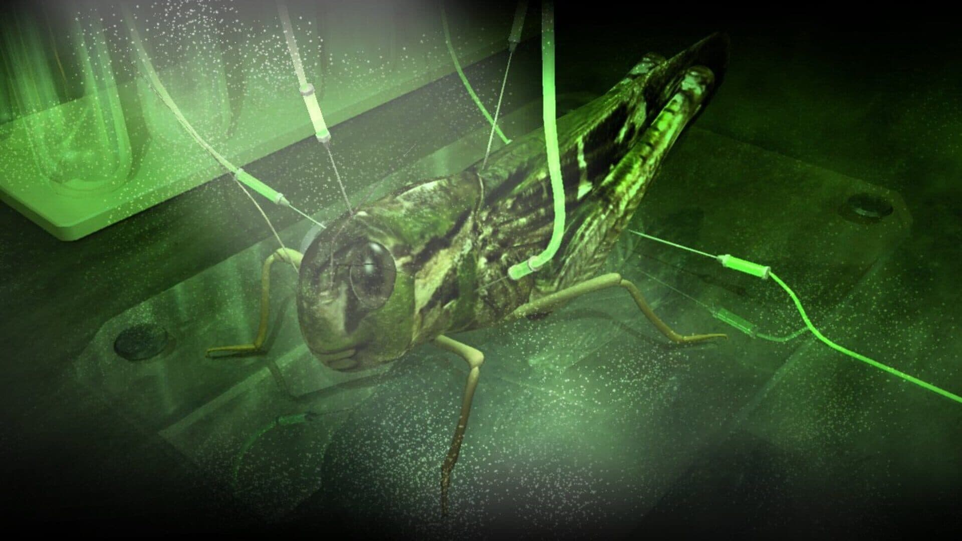 Onslaught screenshot 4