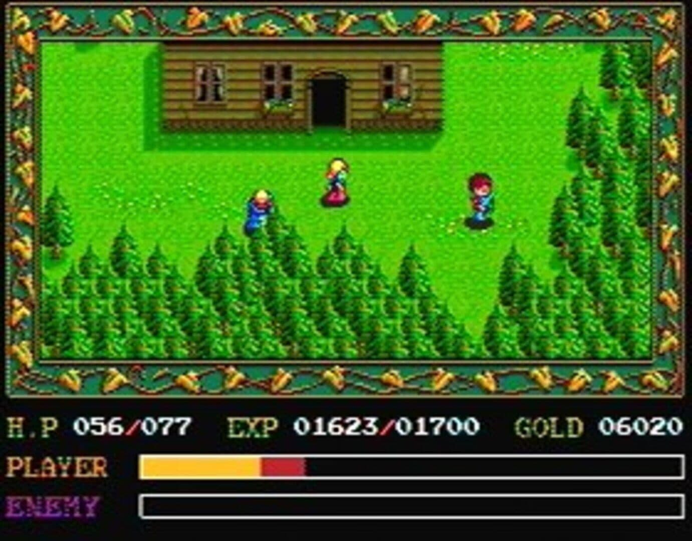 Ys: Book I & II screenshot 6