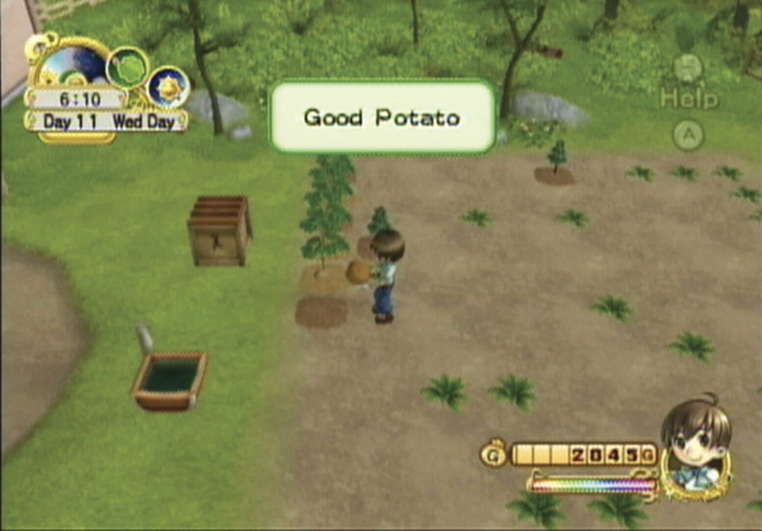 Harvest Moon: Tree of Tranquility screenshot 12