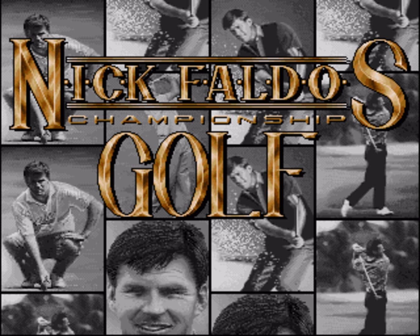 Nick Faldo's Championship Golf screenshot 2