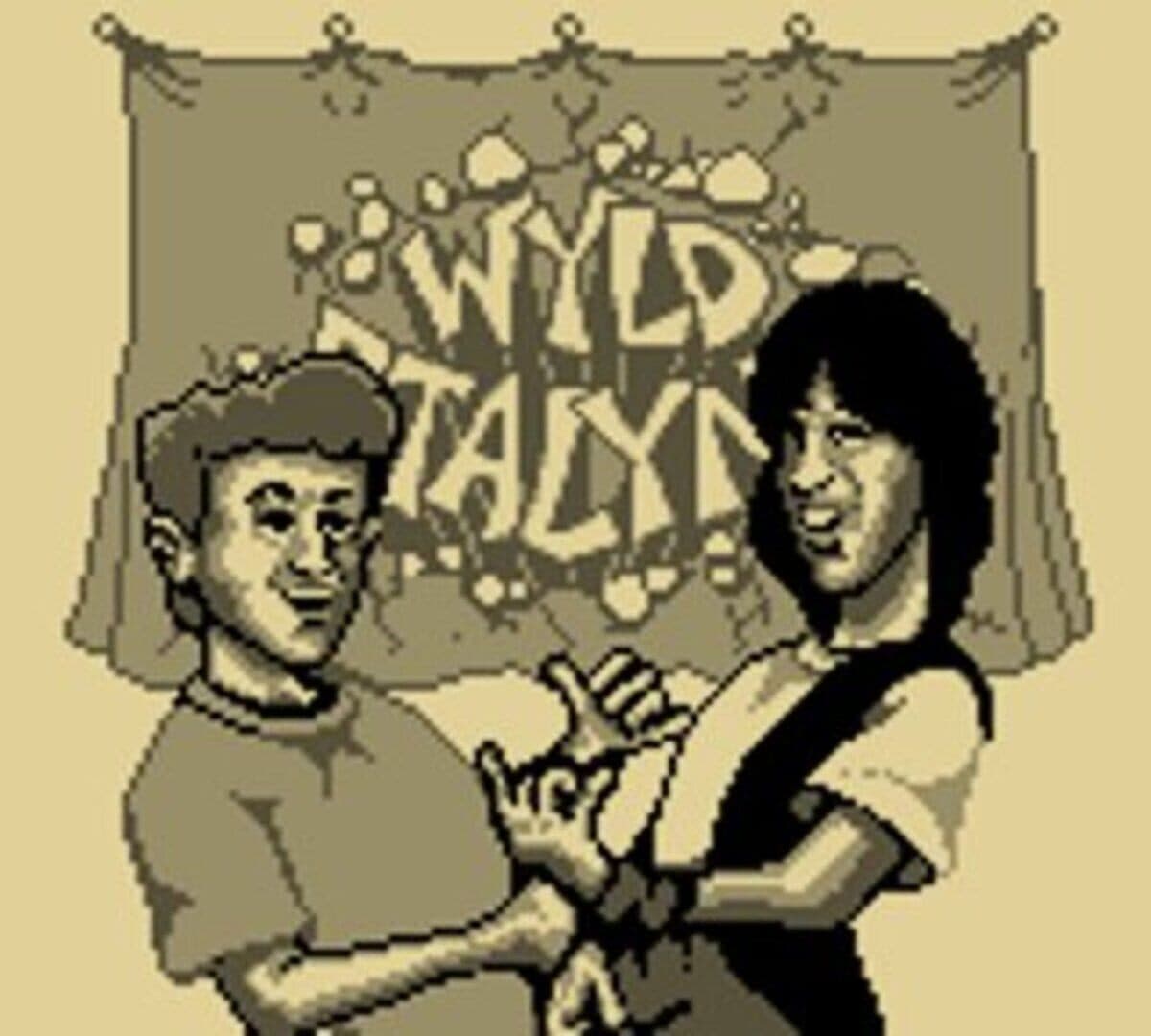 Bill & Ted's Excellent Game Boy Adventure: A Bogus Journey! screenshot 4
