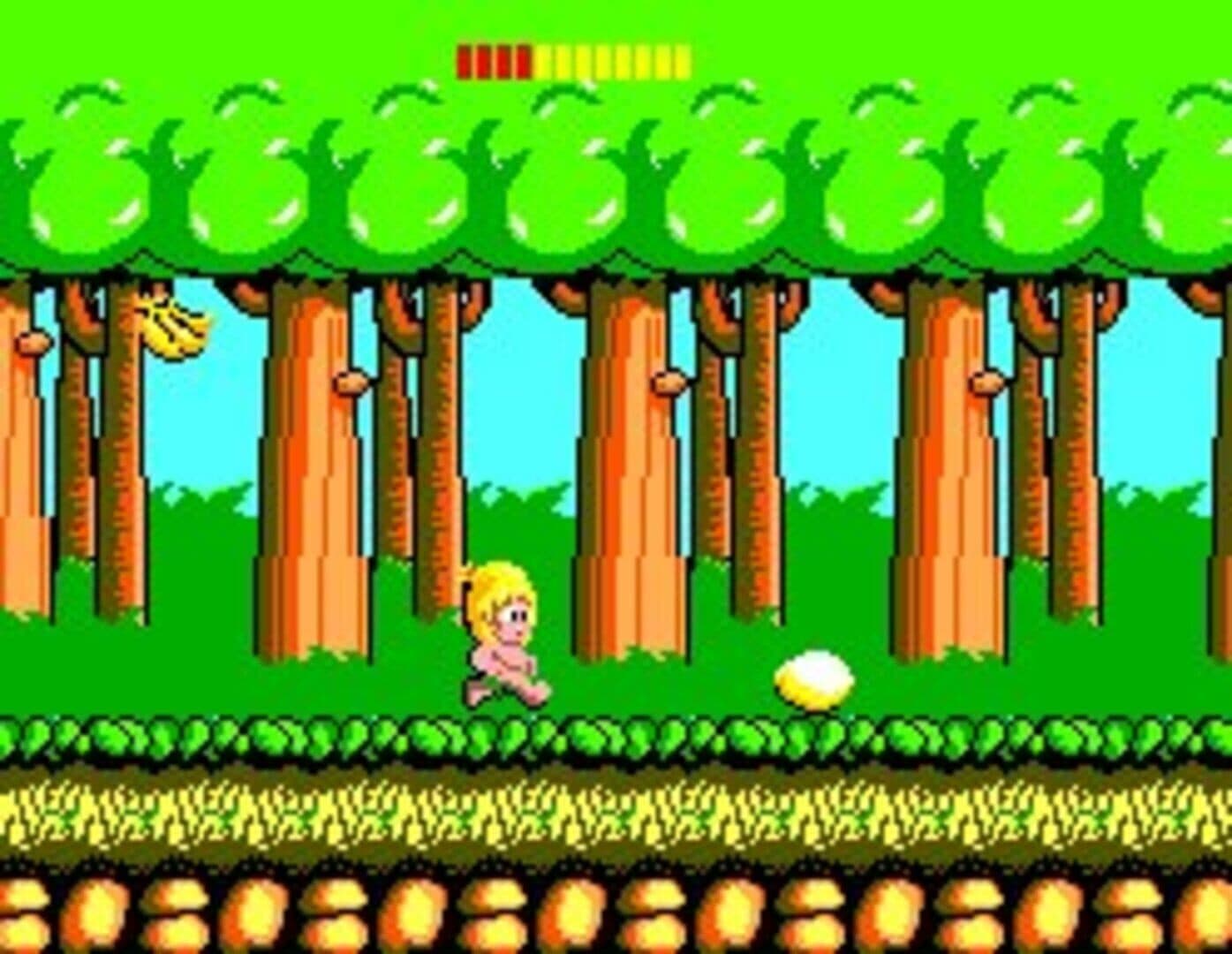 Wonder Boy screenshot 2