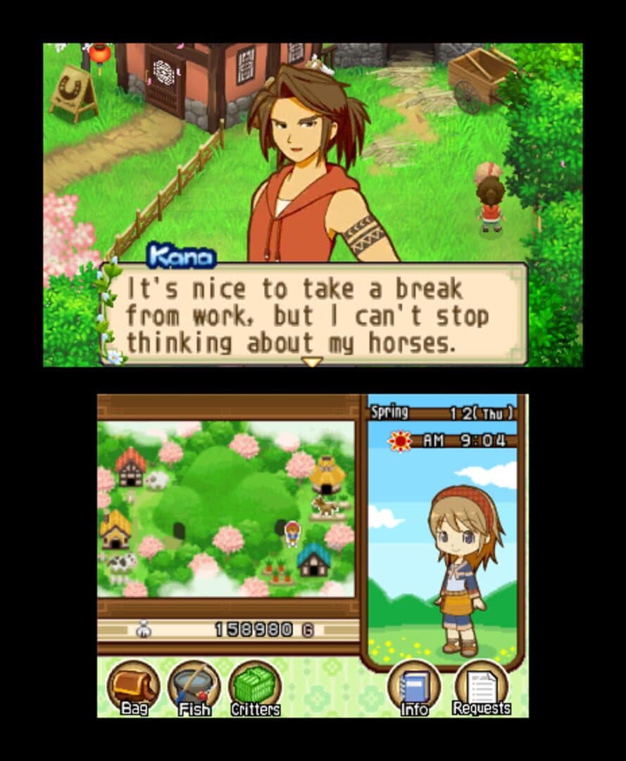 Harvest Moon: The Tale of Two Towns screenshot 10
