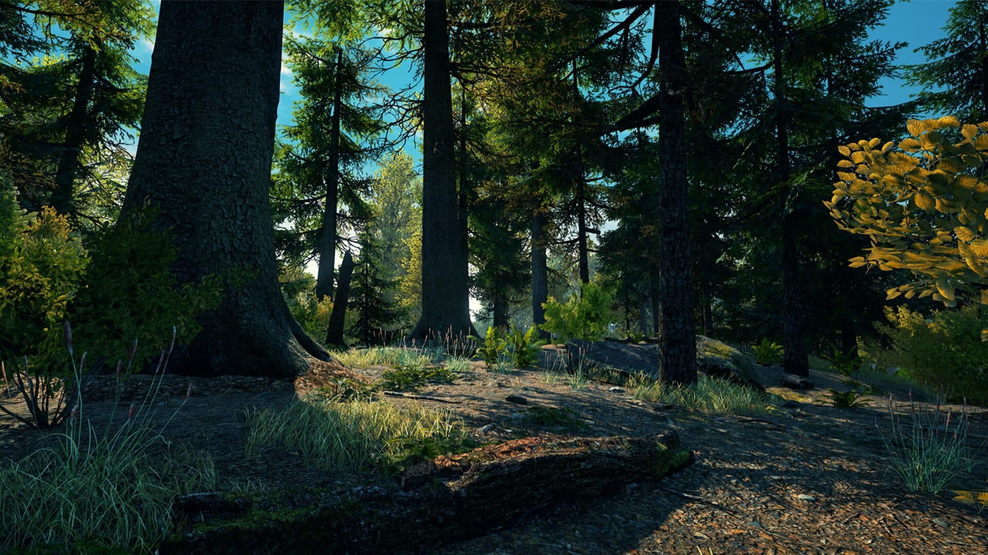 Vestige of the Past screenshot 5