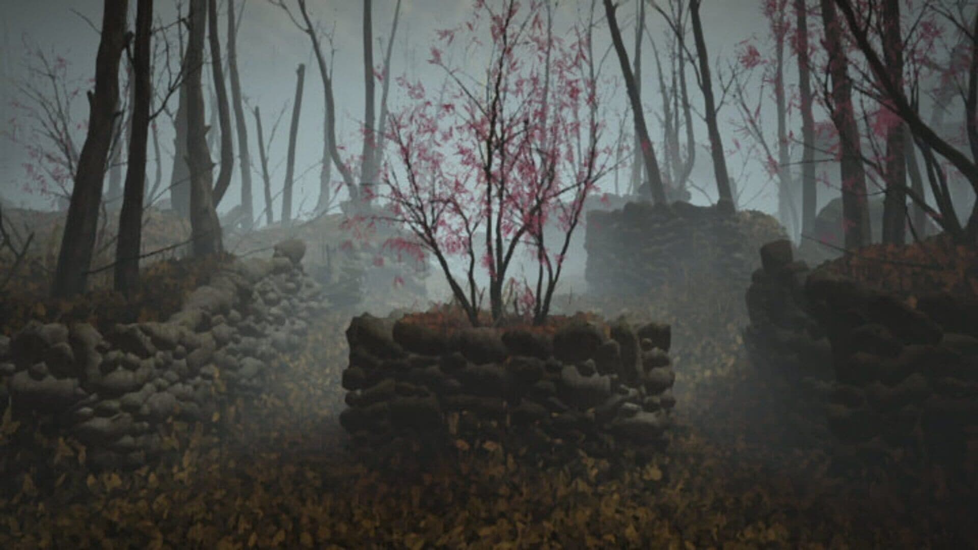 Datura screenshot 2