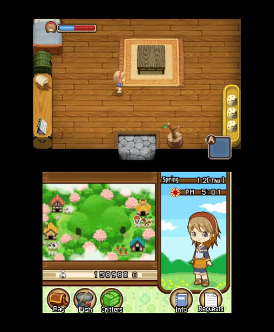 Harvest Moon: The Tale of Two Towns screenshot 8