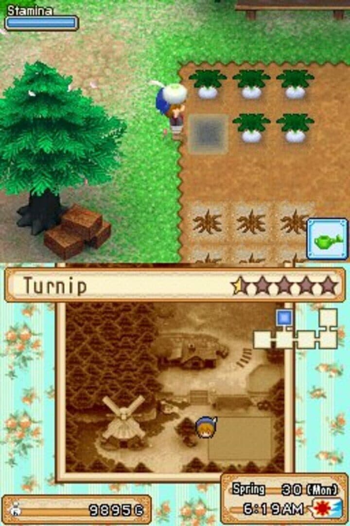 Harvest Moon DS: Grand Bazaar screenshot 7