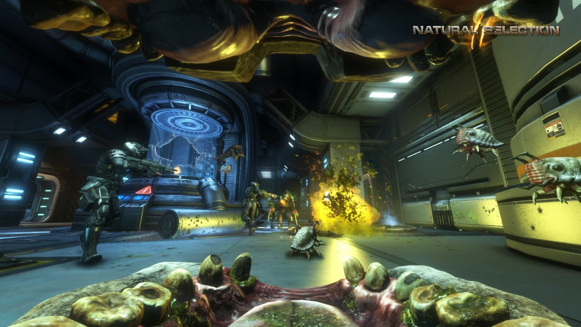 Natural Selection 2 - Deluxe DLC screenshot 4