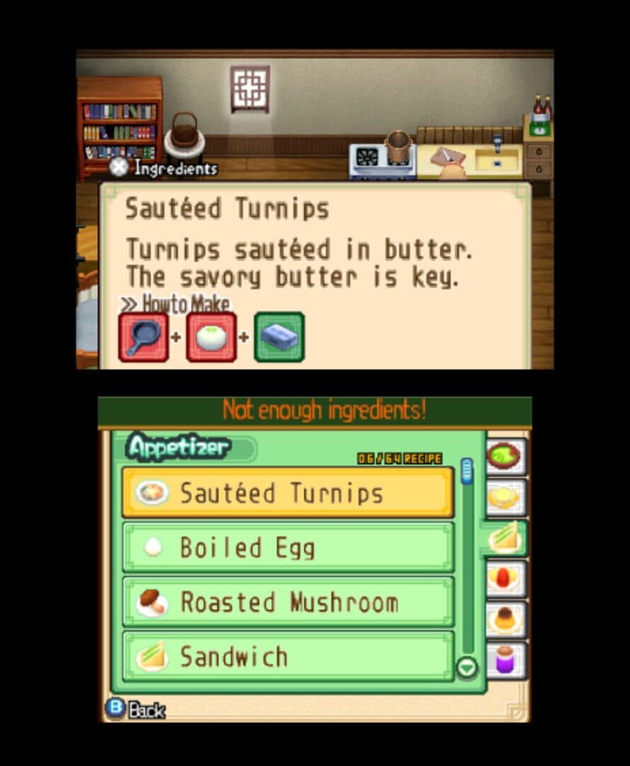 Harvest Moon: The Tale of Two Towns screenshot 11