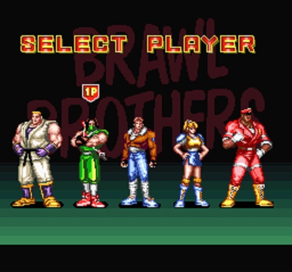 Brawl Brothers screenshot 6