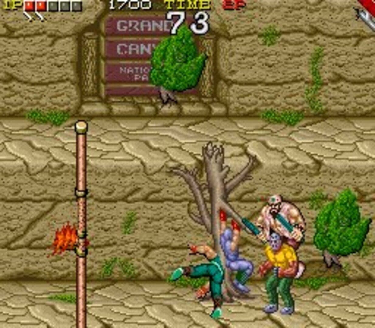 Ninja Gaiden screenshot 7