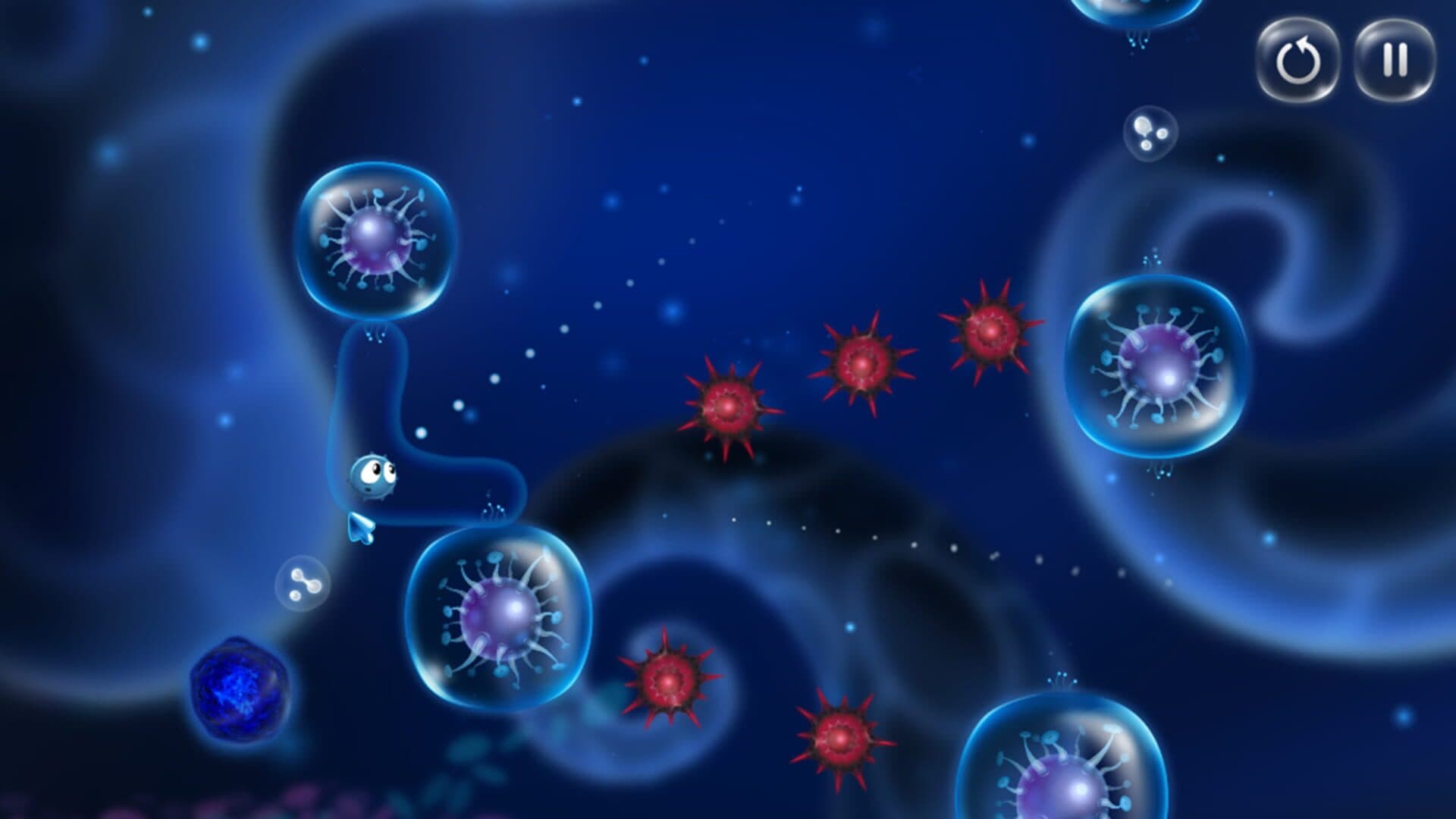 Cyto screenshot 1