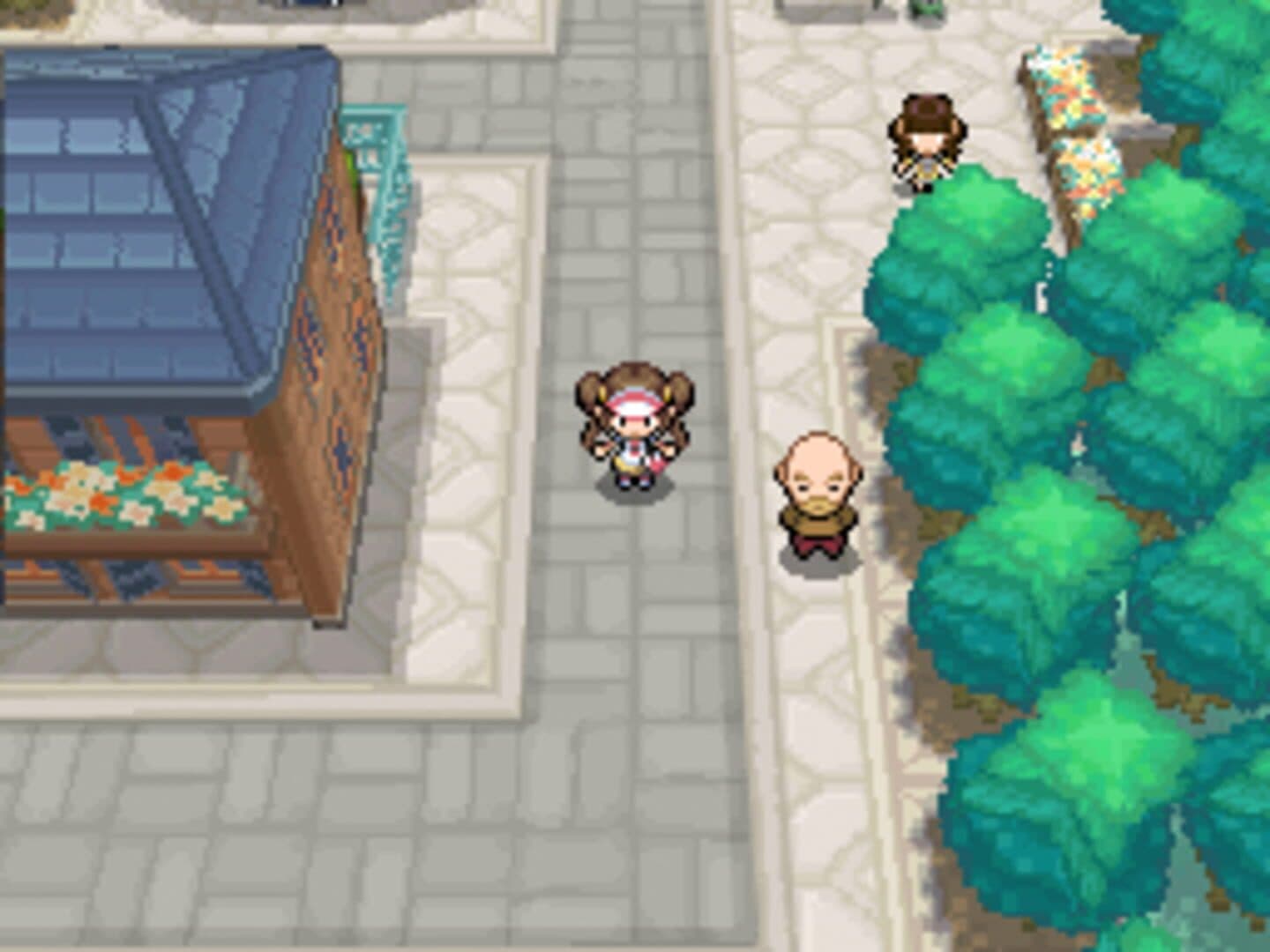 Pokémon Black Version 2 screenshot 7