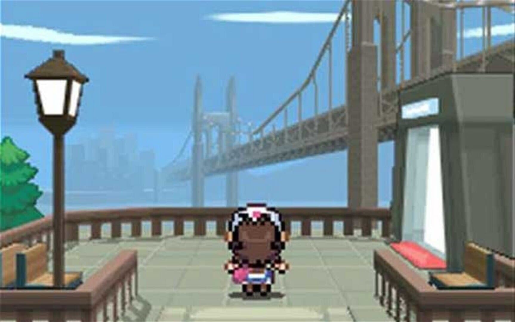 Pokémon Black Version screenshot 3