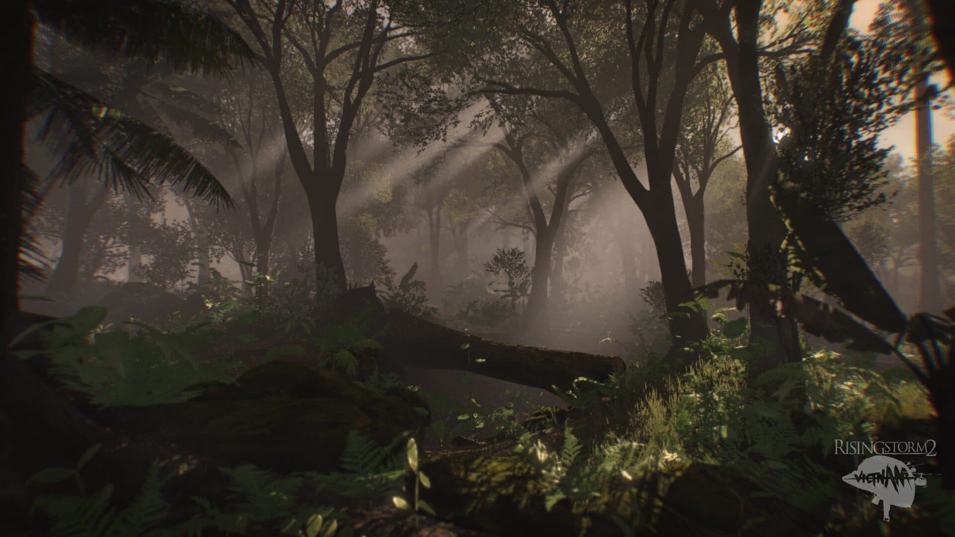 Rising Storm 2: Vietnam screenshot 5