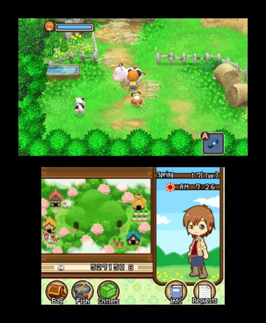 Harvest Moon: The Tale of Two Towns screenshot 12