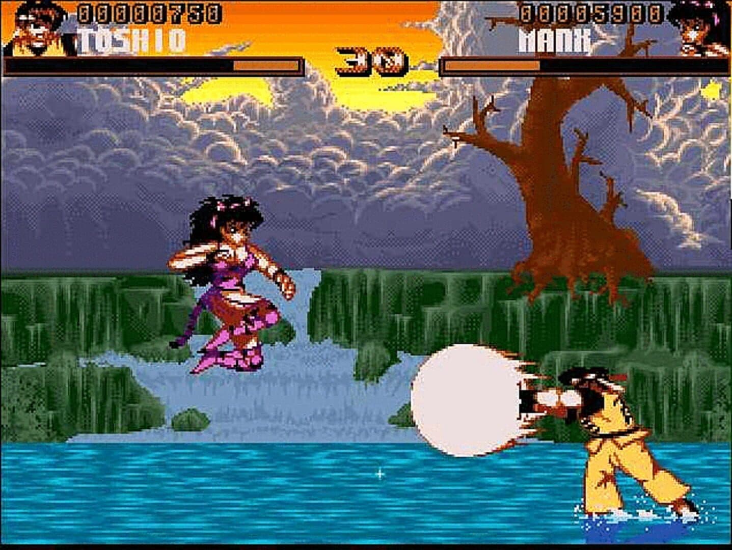 Shadow Fighter screenshot 3
