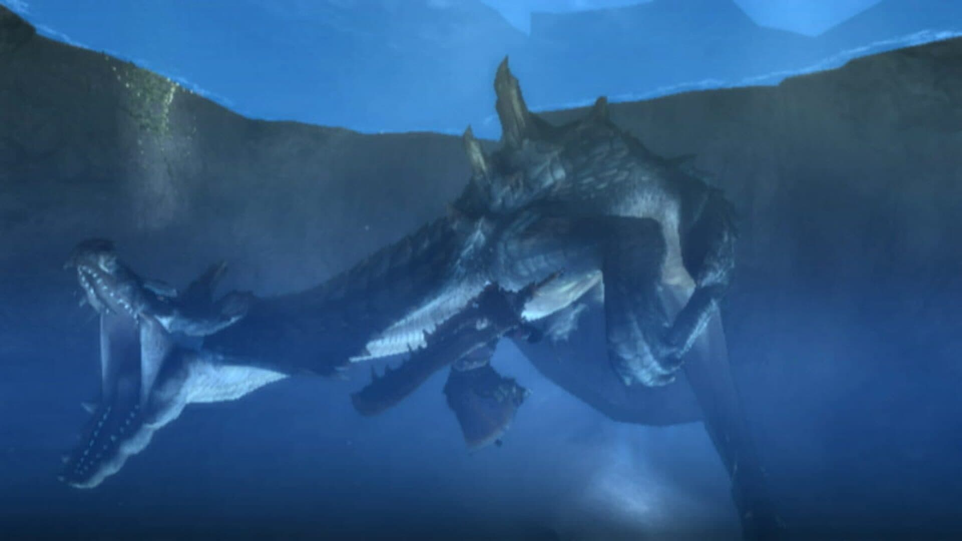 Monster Hunter Tri screenshot 12