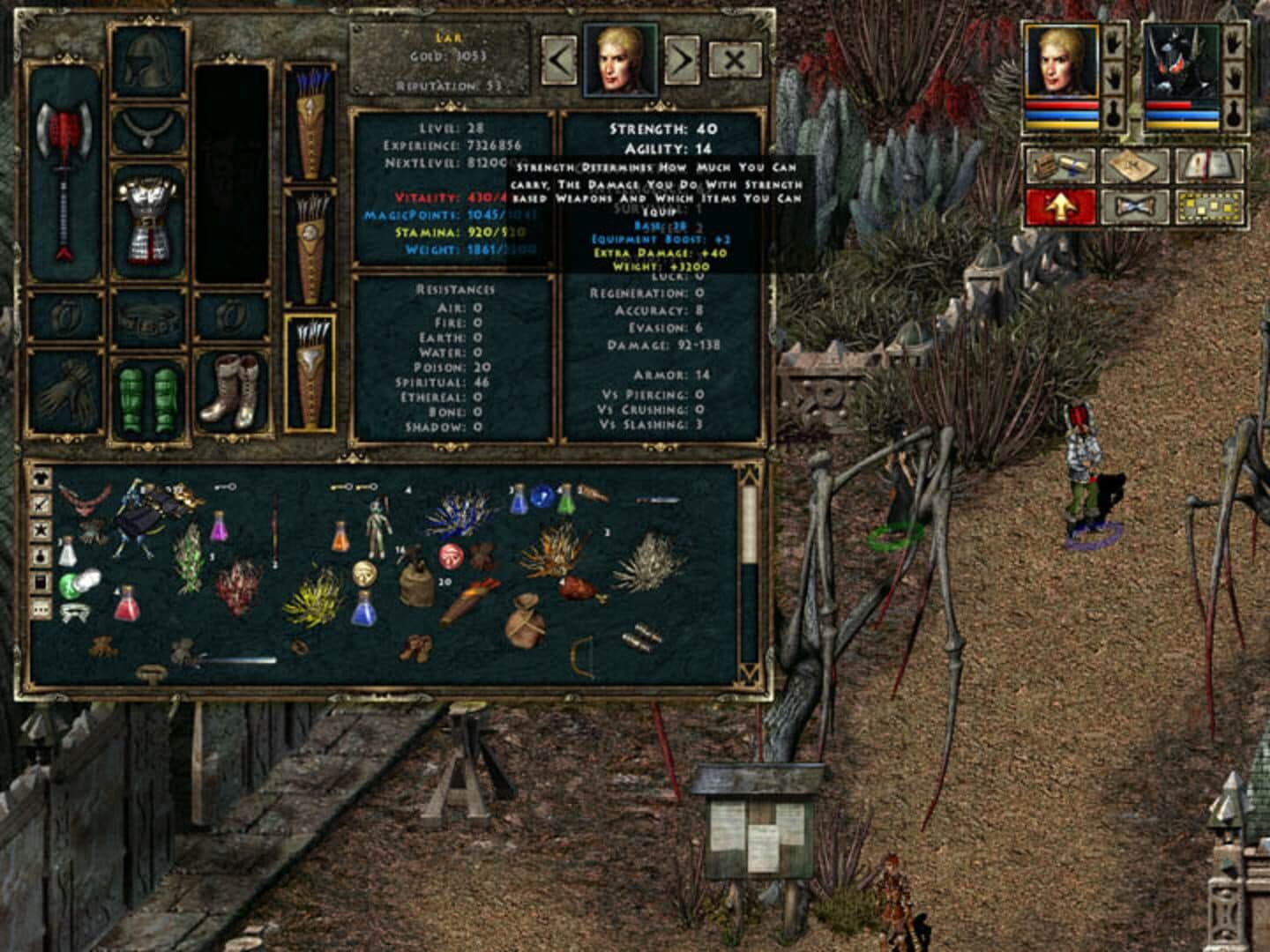 Beyond Divinity screenshot 5