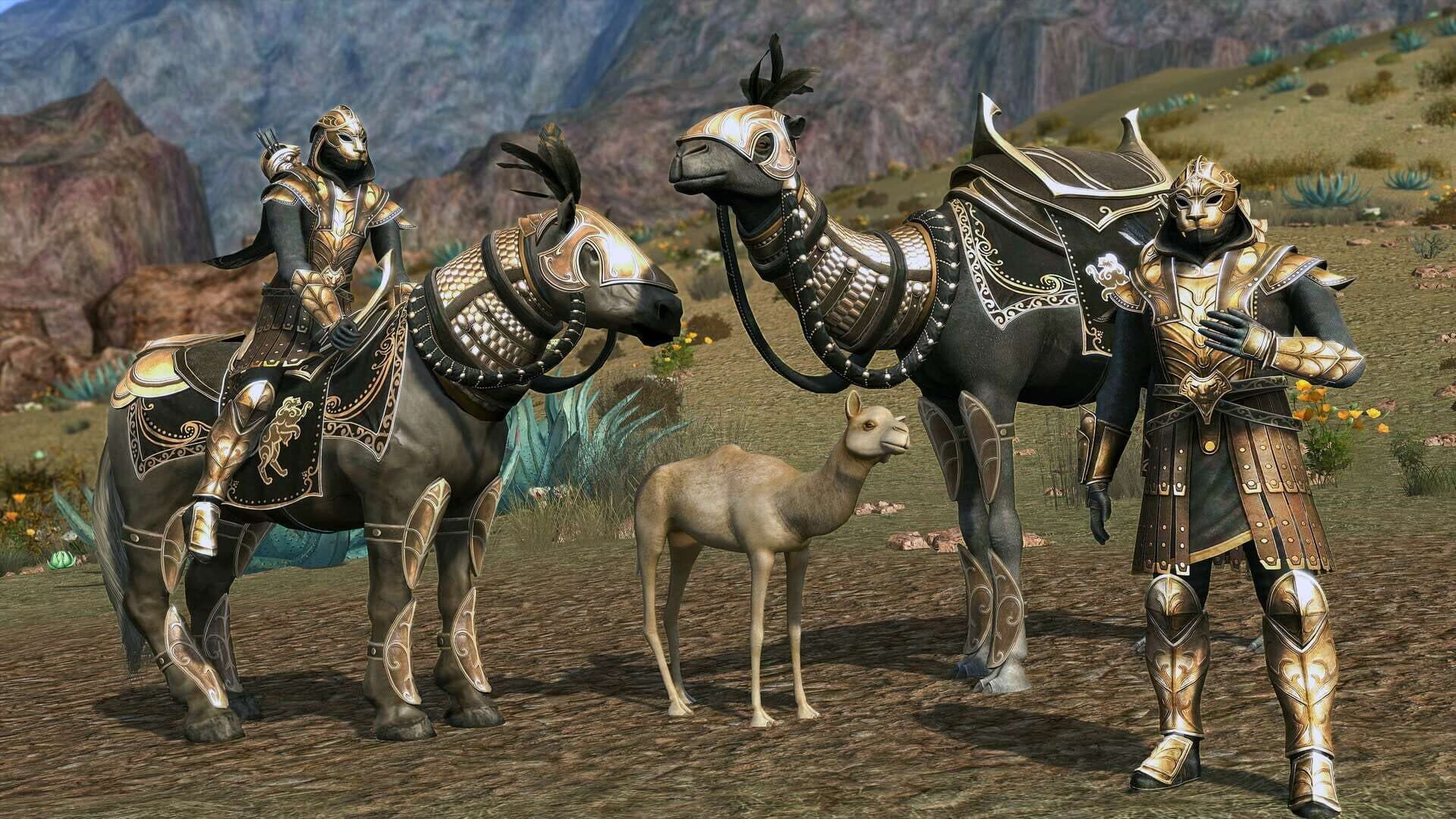 The Lord of the Rings Online: Kingdoms of Harad screenshot 6
