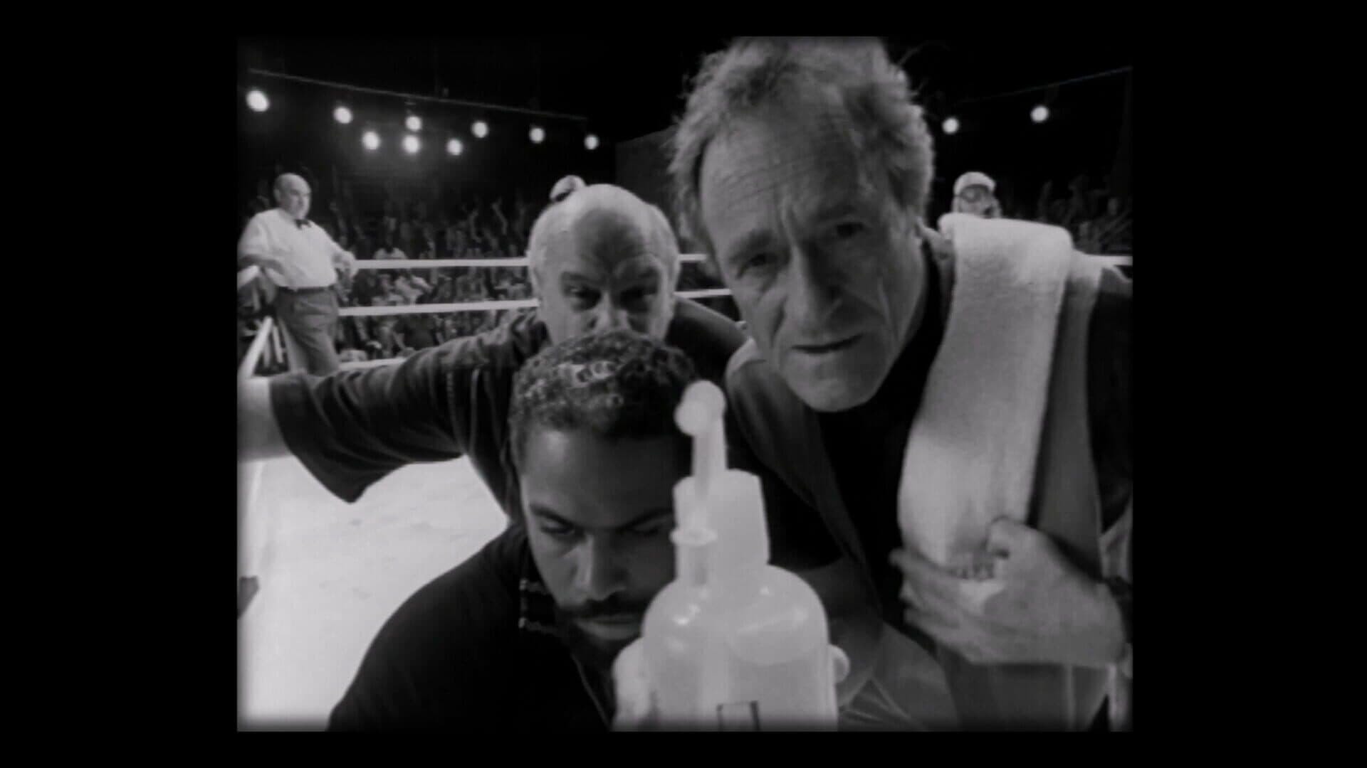 Prize Fighter: Heavyweight Edition screenshot 1