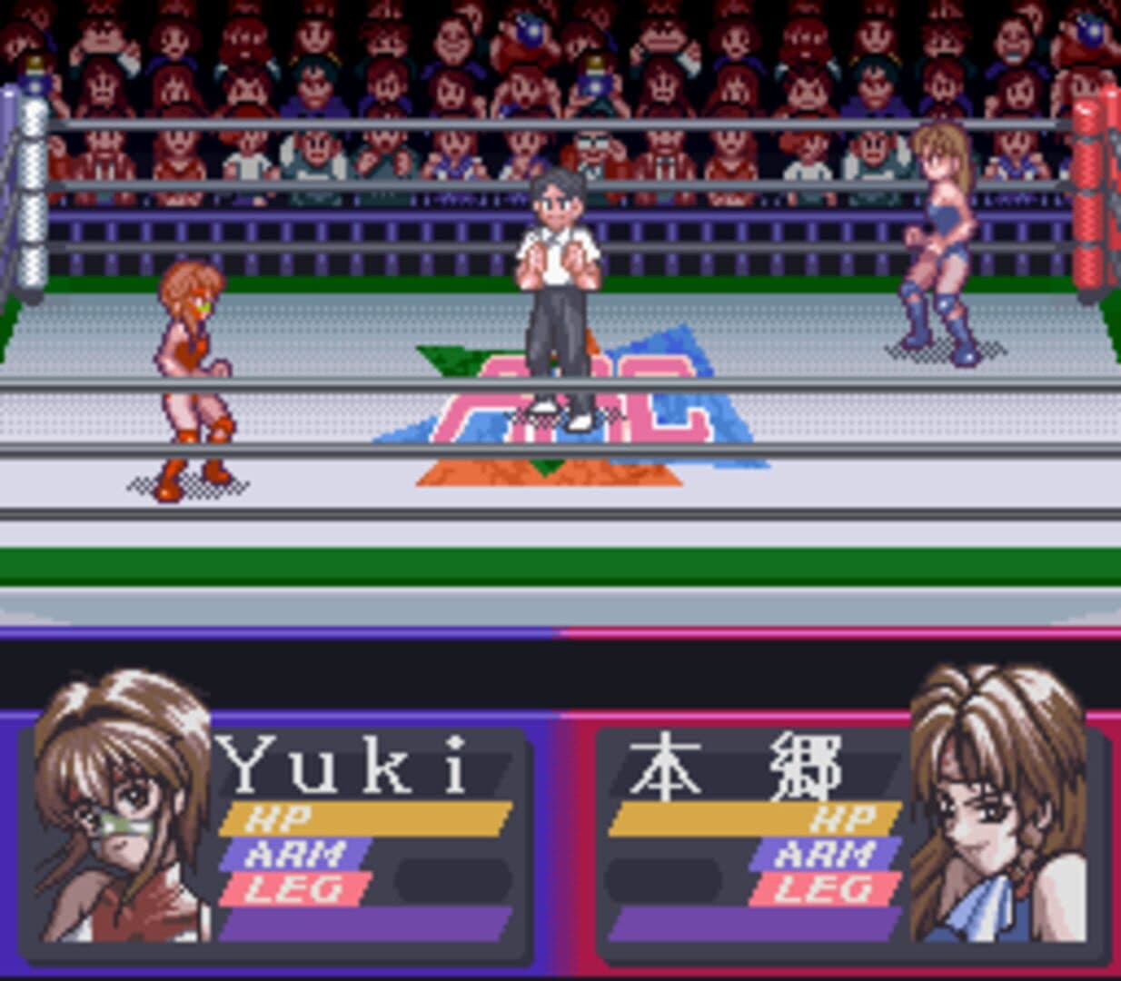 Bishoujo Wrestler Retsuden: Blizzard Yuki Rannyuu!! screenshot 2