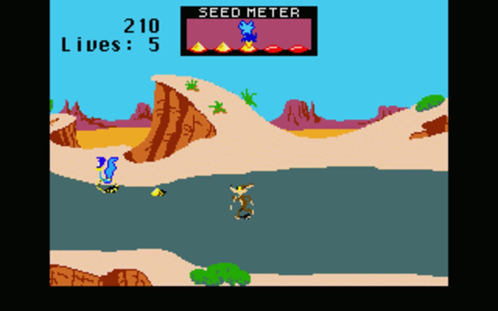 Road Runner screenshot 2