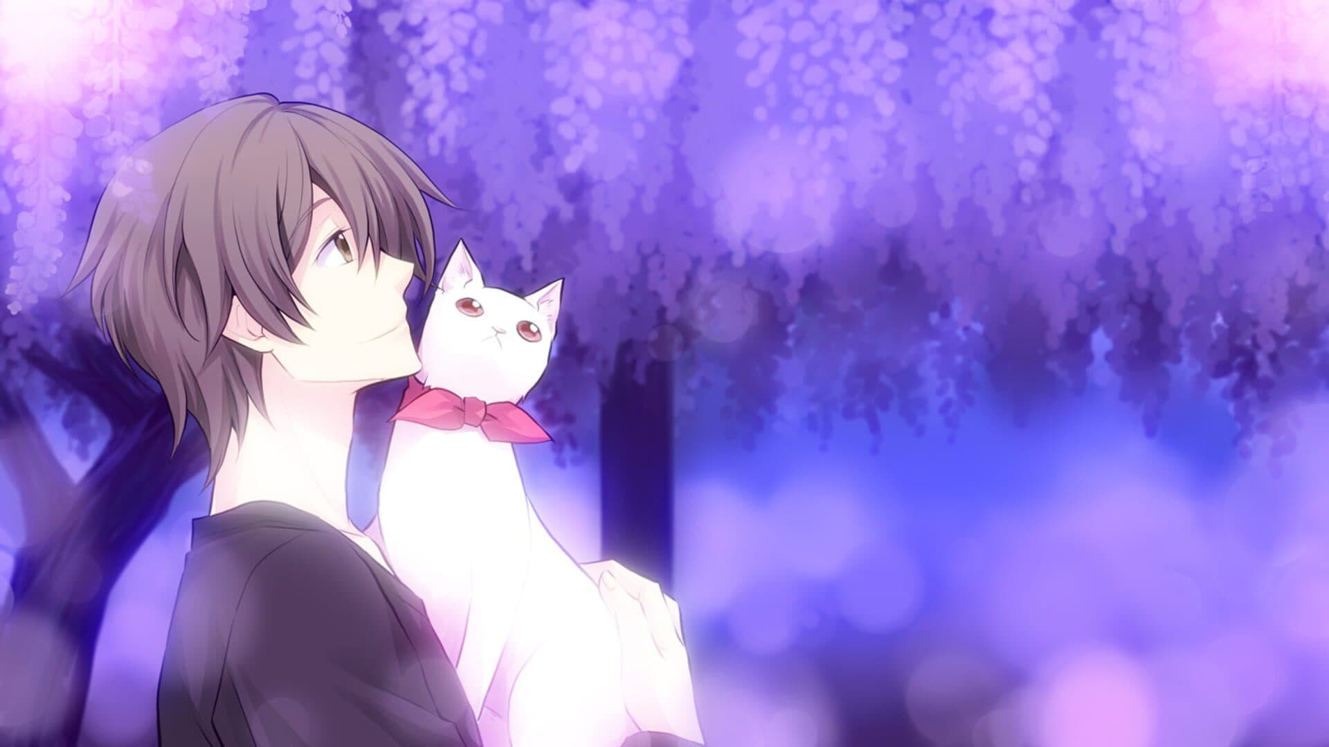Kitty Love -Way to look for love- screenshot 2