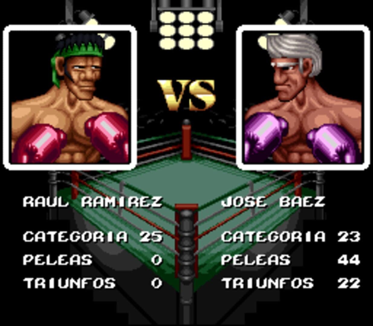 Riddick Bowe Boxing screenshot 1