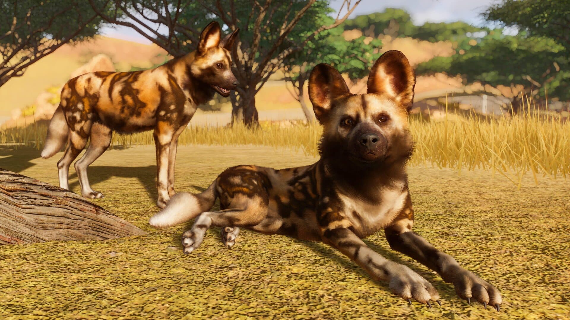 Planet Zoo screenshot 8