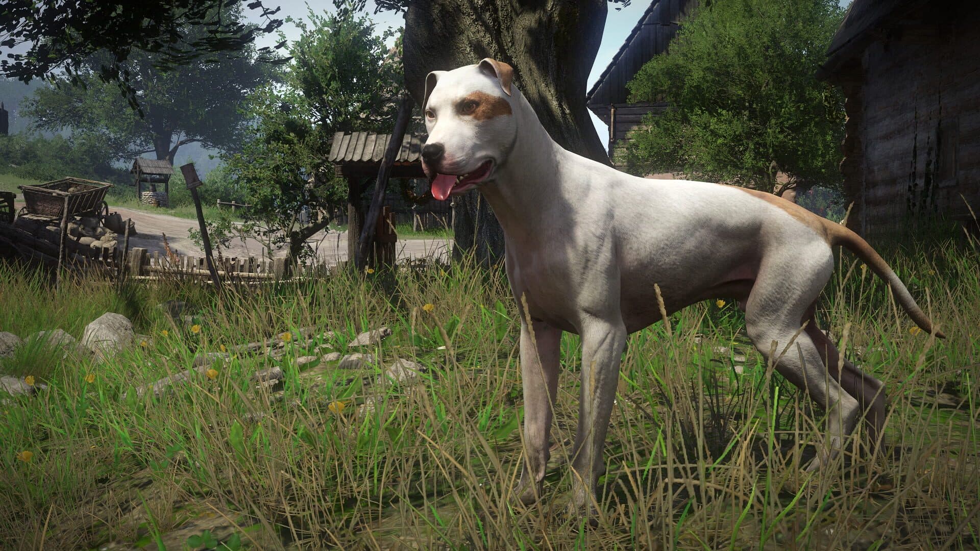 Kingdom Come: Deliverance - A Woman's Lot screenshot 4
