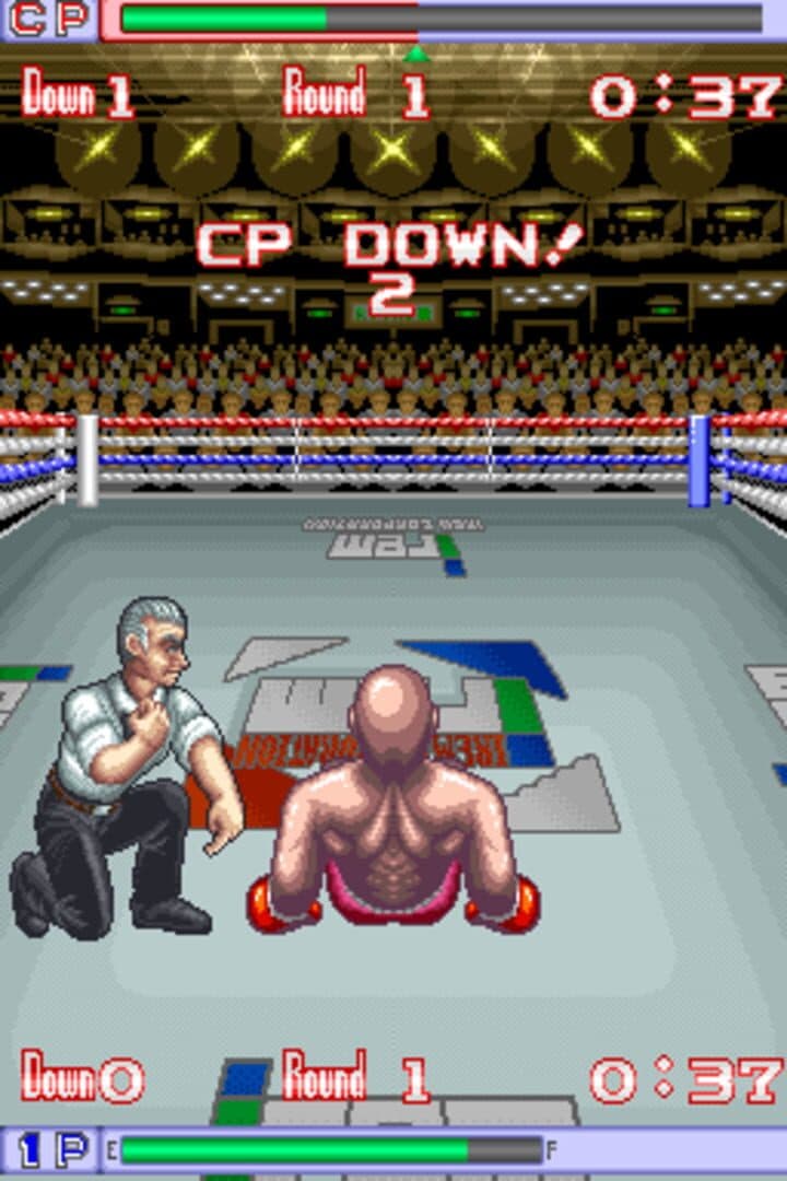 Pound For Pound screenshot 1
