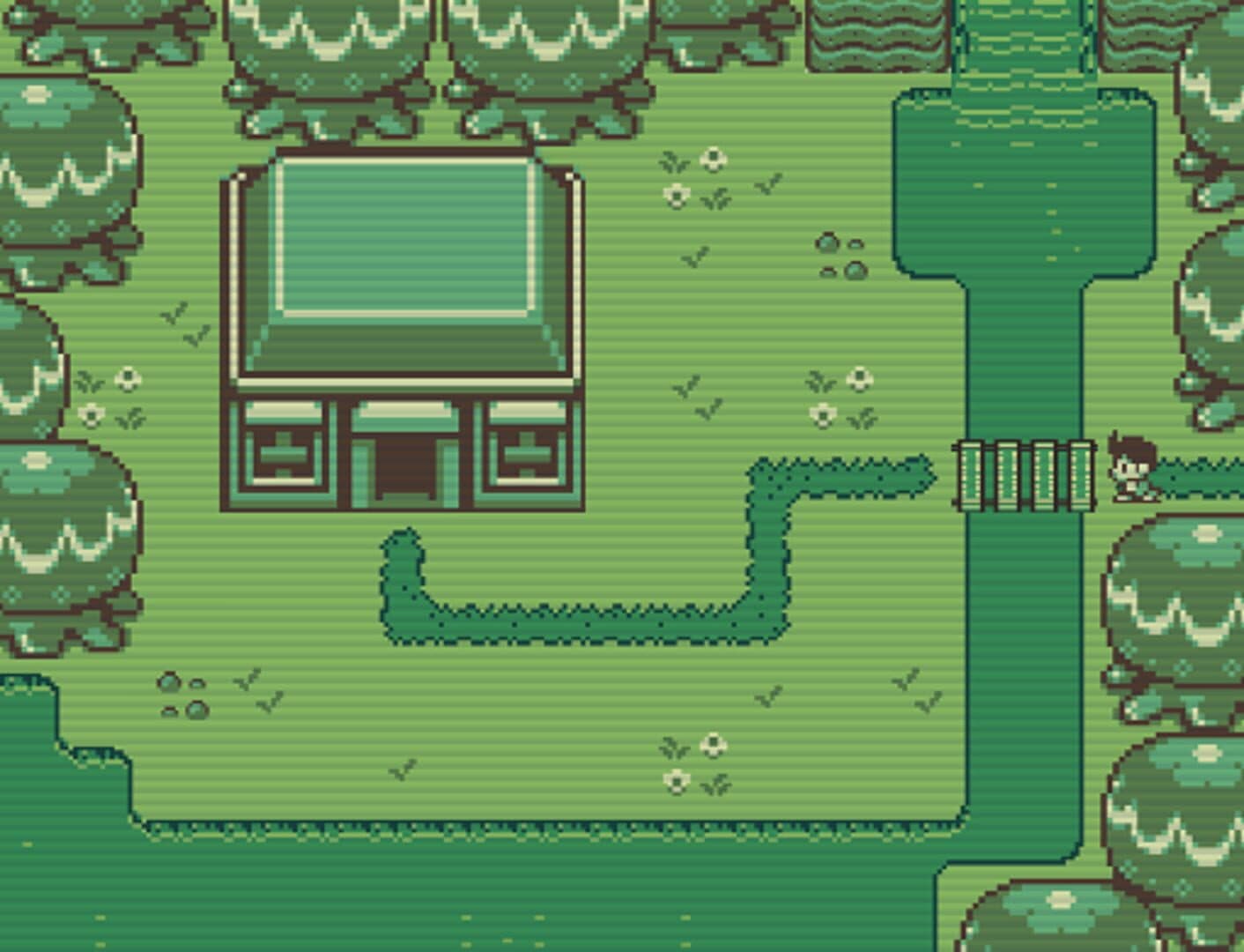 Timothy and the Mysterious Forest screenshot 9