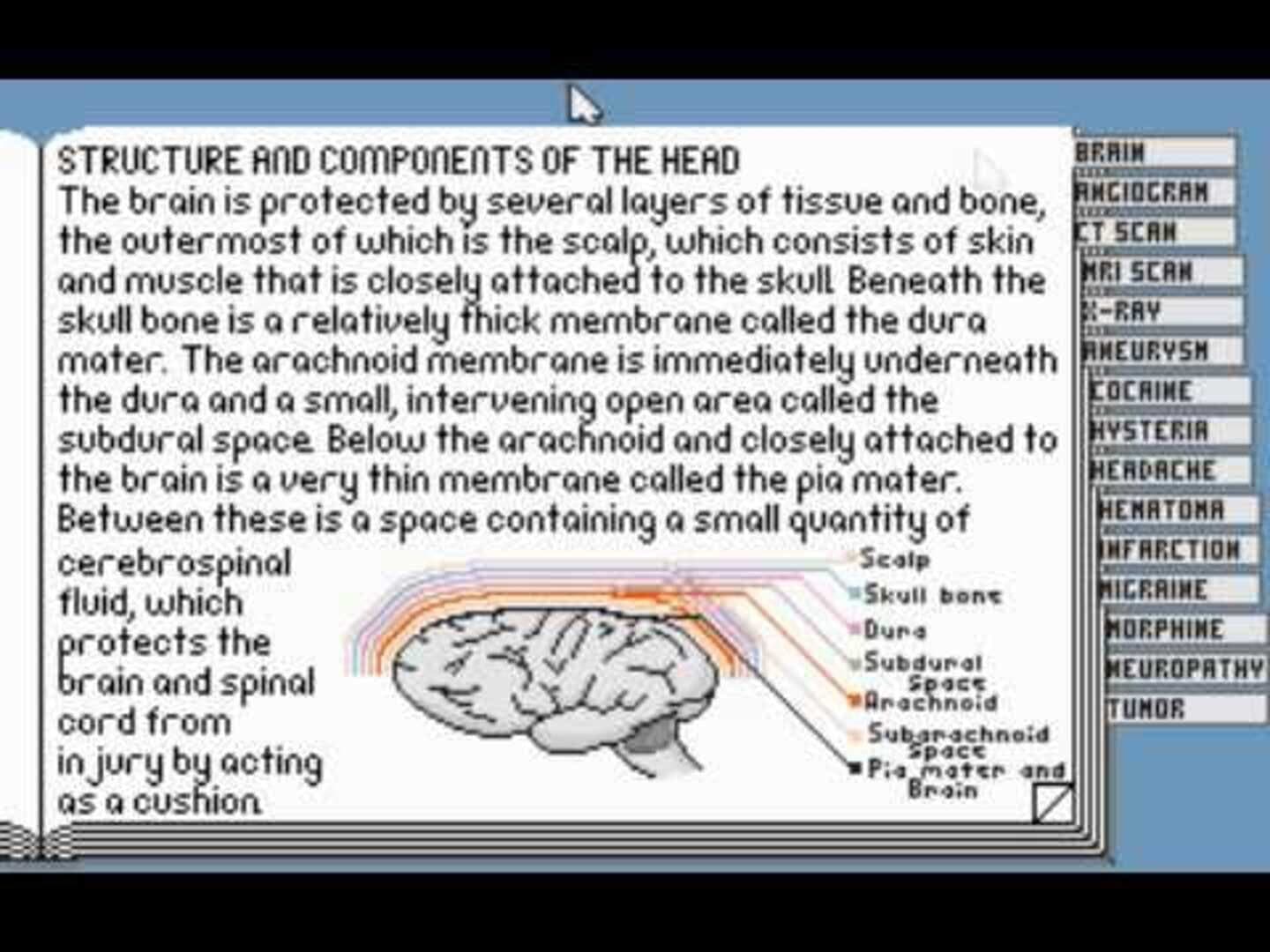 Life & Death II: The Brain screenshot 4