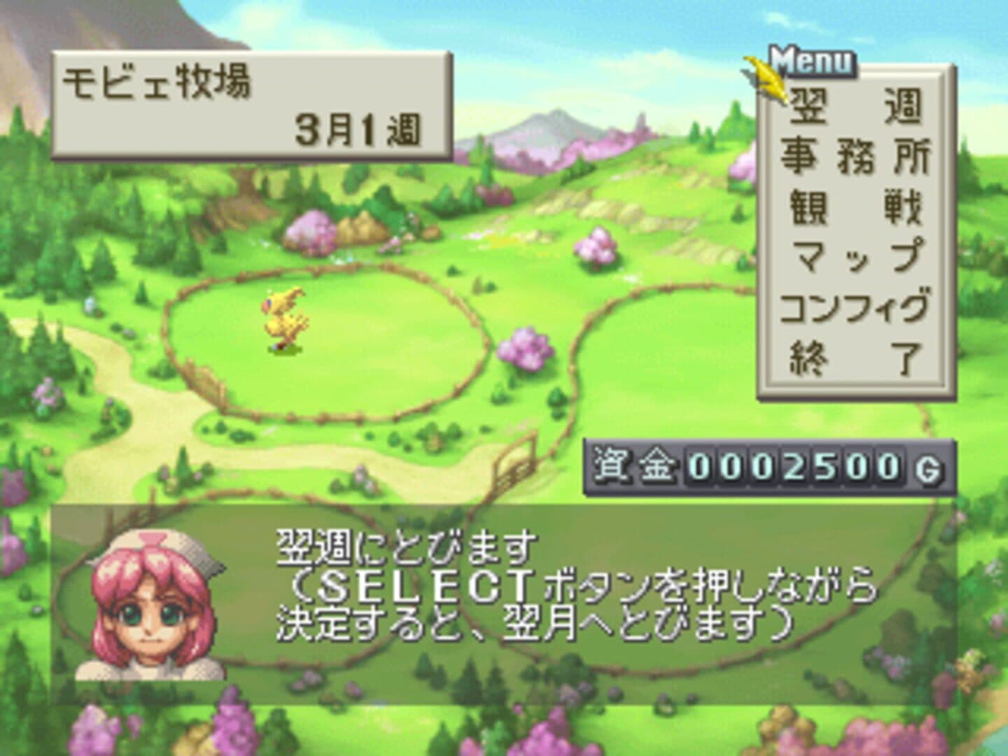 Chocobo Stallion screenshot 2