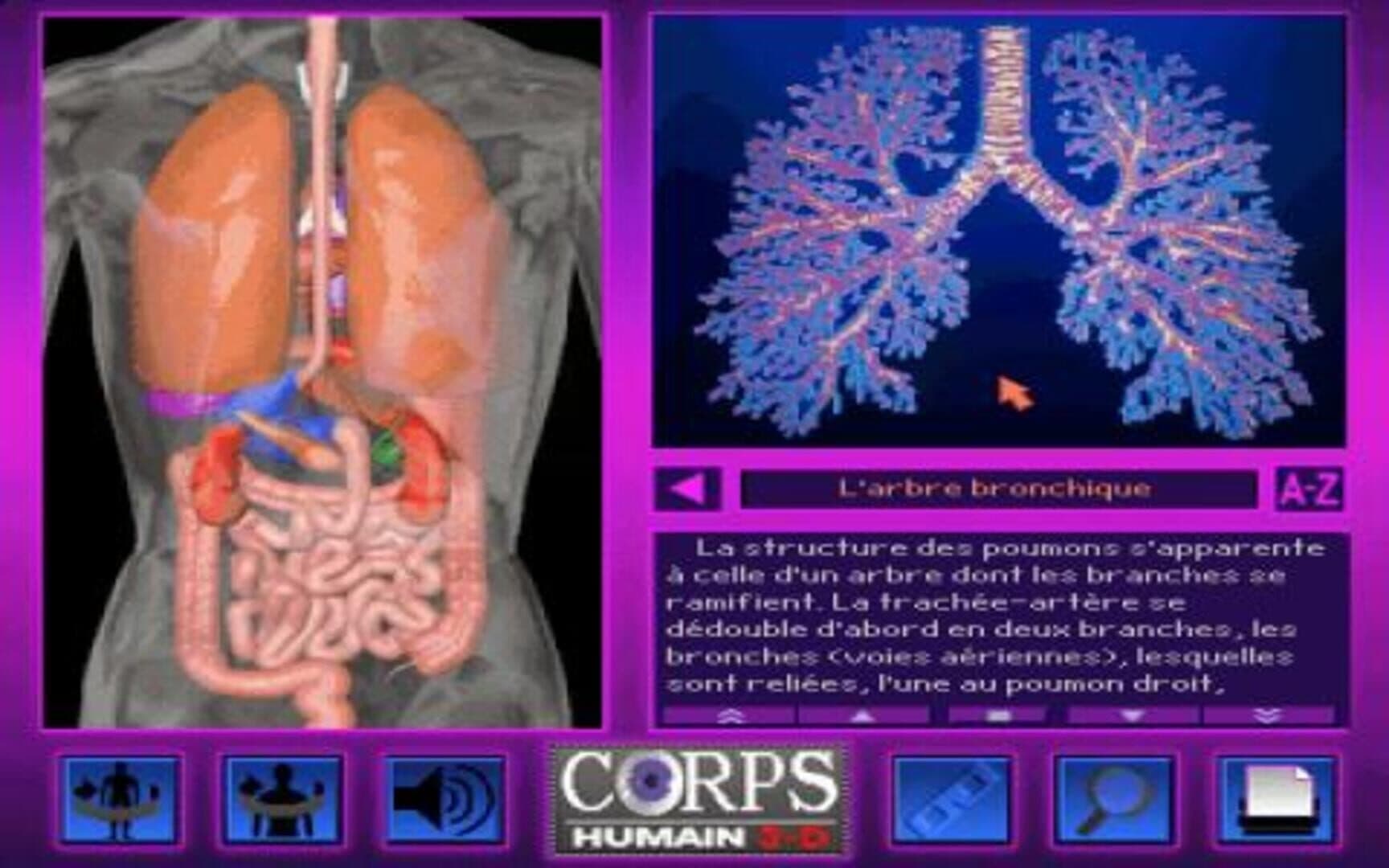 3-D Body Adventure screenshot 2