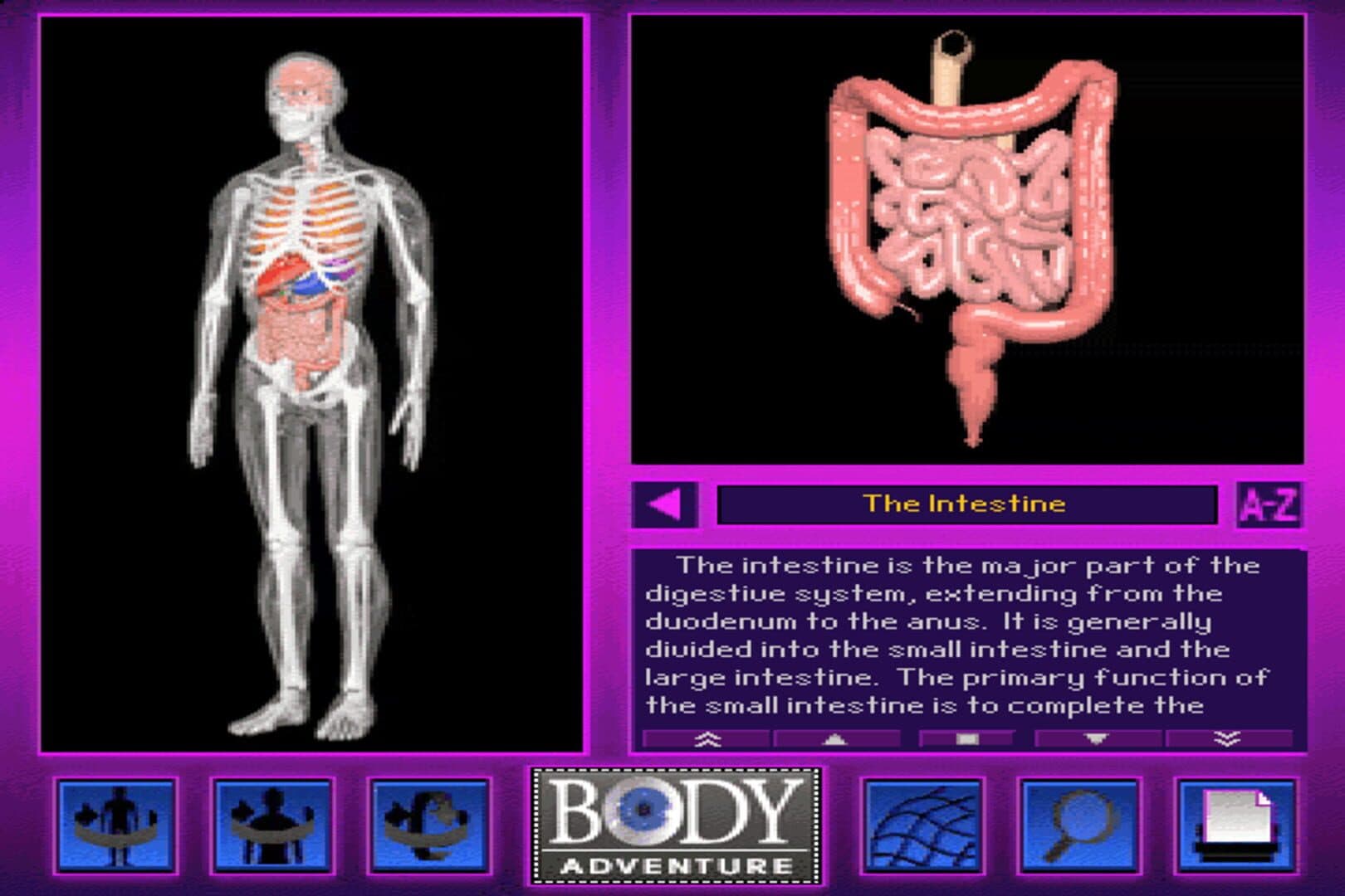 3-D Body Adventure screenshot 3